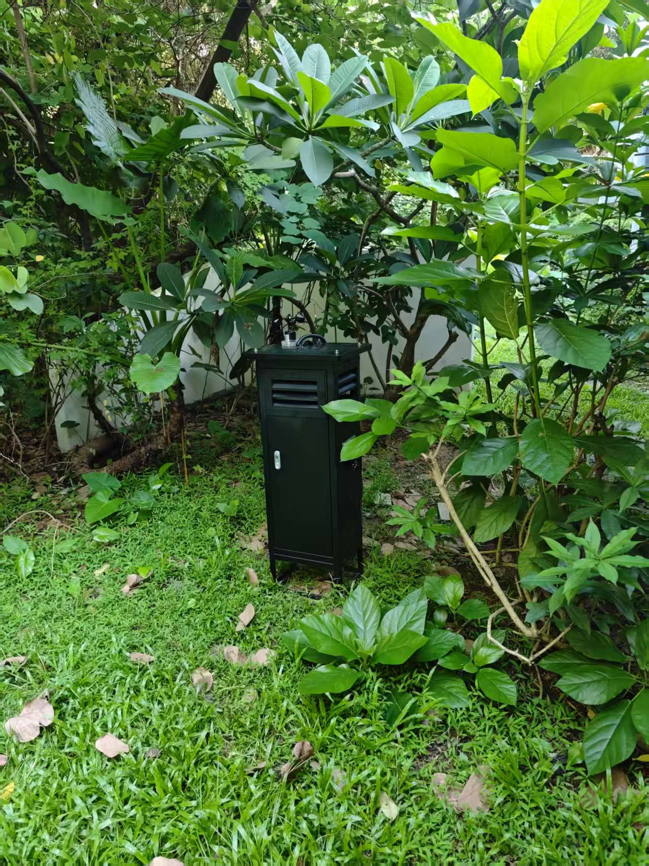 医院监测项目